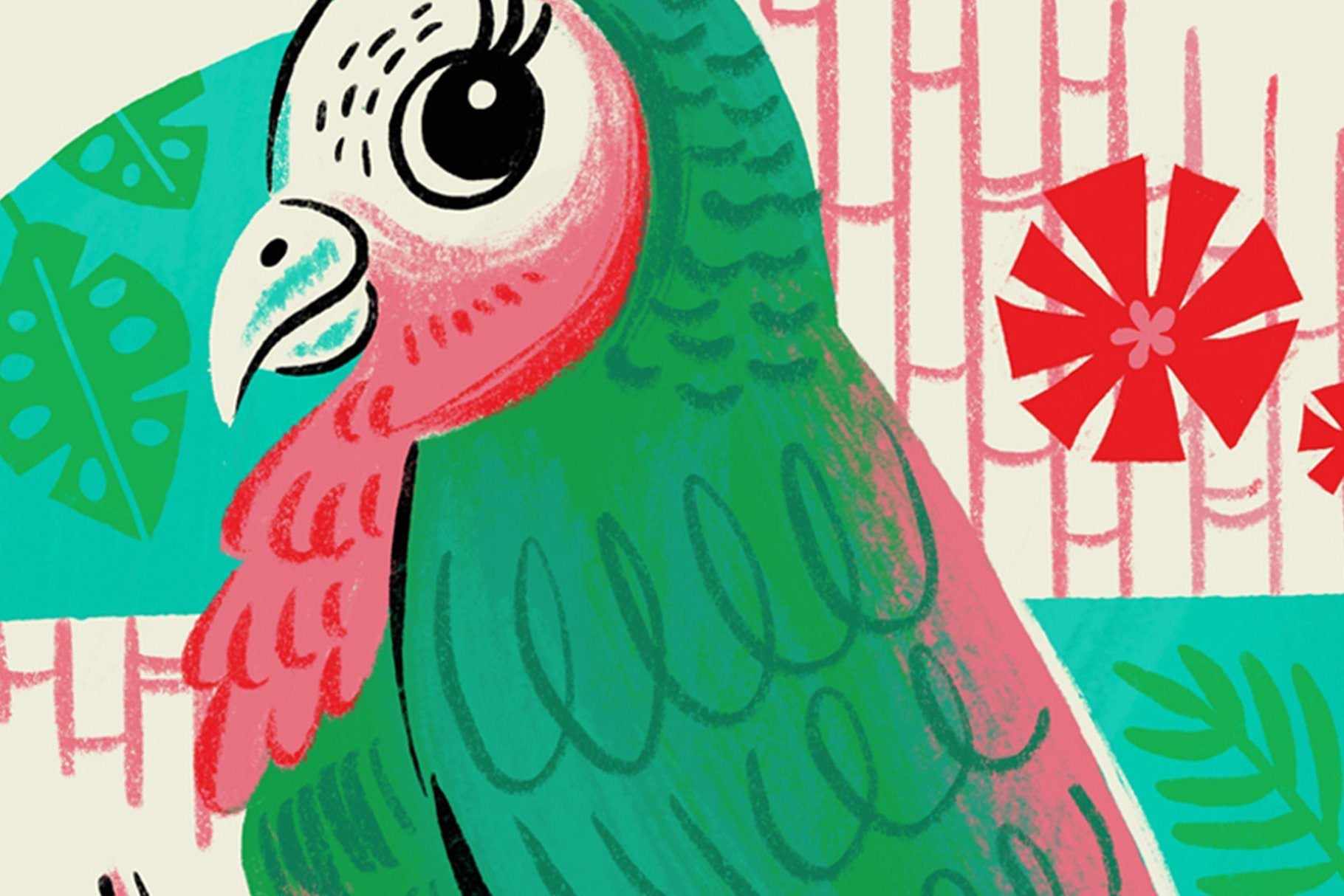 The Mid-Century Brush Pack for Photoshop. Red and green illustrated parrot close up.